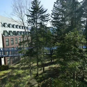 https://alpha-village-tomamu.hokkaidohotelsjapan.com